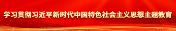 男人插女人免费网站学习贯彻习近平新时代中国特色社会主义思想主题教育